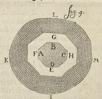 Picture 17 of 27 from Leeuwenhoeks werken (1684), leaf 421