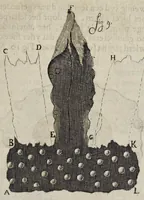 Picture 18 of 27 from Leeuwenhoeks werken (1684), leaf 426