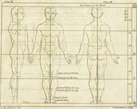 An illustration from The art of painting, in all its branches : methodically demonstrated by discourses and plates, and exemplified by remarks on the paintings of the best masters, and their perfections and oversights laid open (1738)