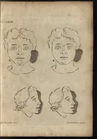 An illustration from The art of painting, in all its branches : methodically demonstrated by discourses and plates, and exemplified by remarks on the paintings of the best masters, and their perfections and oversights laid open (1738)