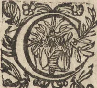 An illustration from Le commentaire royal, ou, L'histoire des Yncas, roys du Peru : contenant leur origine, depuis le premier Ynca Manco Capac, leur establissement, leur idolatrie, leurs sacrifices, leurs vies, leurs loix, leur gouuernement en paix & en guerre ... : ensemble vne descriptton particuliere des animaux, des fruicts, des mineraux, des plantes, & des singularitez du païs : oeuure curieuse, & tout à faict necessaire à l'intelligence de l'Histoire des Indes (1633)