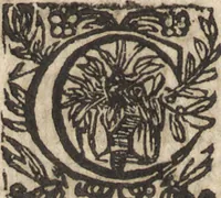 An illustration from Le commentaire royal, ou, L'histoire des Yncas, roys du Peru : contenant leur origine, depuis le premier Ynca Manco Capac, leur establissement, leur idolatrie, leurs sacrifices, leurs vies, leurs loix, leur gouuernement en paix & en guerre ... : ensemble vne descriptton particuliere des animaux, des fruicts, des mineraux, des plantes, & des singularitez du païs : oeuure curieuse, & tout à faict necessaire à l'intelligence de l'Histoire des Indes (1633)