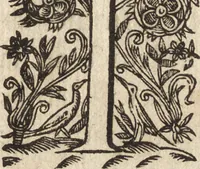 An illustration from Le commentaire royal, ou, L'histoire des Yncas, roys du Peru : contenant leur origine, depuis le premier Ynca Manco Capac, leur establissement, leur idolatrie, leurs sacrifices, leurs vies, leurs loix, leur gouuernement en paix & en guerre ... : ensemble vne descriptton particuliere des animaux, des fruicts, des mineraux, des plantes, & des singularitez du païs : oeuure curieuse, & tout à faict necessaire à l'intelligence de l'Histoire des Indes (1633)