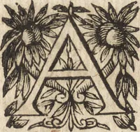 An illustration from Le commentaire royal, ou, L'histoire des Yncas, roys du Peru : contenant leur origine, depuis le premier Ynca Manco Capac, leur establissement, leur idolatrie, leurs sacrifices, leurs vies, leurs loix, leur gouuernement en paix & en guerre ... : ensemble vne descriptton particuliere des animaux, des fruicts, des mineraux, des plantes, & des singularitez du païs : oeuure curieuse, & tout à faict necessaire à l'intelligence de l'Histoire des Indes (1633)