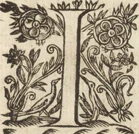 An illustration from Le commentaire royal, ou, L'histoire des Yncas, roys du Peru : contenant leur origine, depuis le premier Ynca Manco Capac, leur establissement, leur idolatrie, leurs sacrifices, leurs vies, leurs loix, leur gouuernement en paix & en guerre ... : ensemble vne descriptton particuliere des animaux, des fruicts, des mineraux, des plantes, & des singularitez du païs : oeuure curieuse, & tout à faict necessaire à l'intelligence de l'Histoire des Indes (1633)
