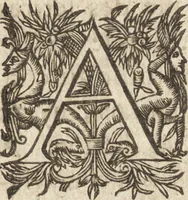Picture 6 of 90 from Le commentaire royal, ou, L'histoire des Yncas, roys du Peru : contenant leur origine, depuis le premier Ynca Manco Capac, leur establissement, leur idolatrie, leurs sacrifices, leurs vies, leurs loix, leur gouuernement en paix & en guerre ... : ensemble vne descriptton particuliere des animaux, des fruicts, des mineraux, des plantes, & des singularitez du païs : oeuure curieuse, & tout à faict necessaire à l'intelligence de l'Histoire des Indes (1633), leaf 22