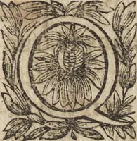 An illustration from Le commentaire royal, ou, L'histoire des Yncas, roys du Peru : contenant leur origine, depuis le premier Ynca Manco Capac, leur establissement, leur idolatrie, leurs sacrifices, leurs vies, leurs loix, leur gouuernement en paix & en guerre ... : ensemble vne descriptton particuliere des animaux, des fruicts, des mineraux, des plantes, & des singularitez du païs : oeuure curieuse, & tout à faict necessaire à l'intelligence de l'Histoire des Indes (1633)