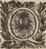 An illustration from Le commentaire royal, ou, L'histoire des Yncas, roys du Peru : contenant leur origine, depuis le premier Ynca Manco Capac, leur establissement, leur idolatrie, leurs sacrifices, leurs vies, leurs loix, leur gouuernement en paix & en guerre ... : ensemble vne descriptton particuliere des animaux, des fruicts, des mineraux, des plantes, & des singularitez du païs : oeuure curieuse, & tout à faict necessaire à l'intelligence de l'Histoire des Indes (1633)