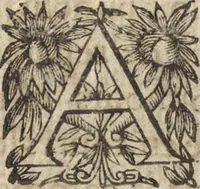 An illustration from Le commentaire royal, ou, L'histoire des Yncas, roys du Peru : contenant leur origine, depuis le premier Ynca Manco Capac, leur establissement, leur idolatrie, leurs sacrifices, leurs vies, leurs loix, leur gouuernement en paix & en guerre ... : ensemble vne descriptton particuliere des animaux, des fruicts, des mineraux, des plantes, & des singularitez du païs : oeuure curieuse, & tout à faict necessaire à l'intelligence de l'Histoire des Indes (1633)