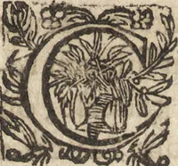 Picture 56 of 90 from Le commentaire royal, ou, L'histoire des Yncas, roys du Peru : contenant leur origine, depuis le premier Ynca Manco Capac, leur establissement, leur idolatrie, leurs sacrifices, leurs vies, leurs loix, leur gouuernement en paix & en guerre ... : ensemble vne descriptton particuliere des animaux, des fruicts, des mineraux, des plantes, & des singularitez du païs : oeuure curieuse, & tout à faict necessaire à l'intelligence de l'Histoire des Indes (1633), leaf 460