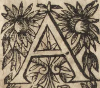 An illustration from Le commentaire royal, ou, L'histoire des Yncas, roys du Peru : contenant leur origine, depuis le premier Ynca Manco Capac, leur establissement, leur idolatrie, leurs sacrifices, leurs vies, leurs loix, leur gouuernement en paix & en guerre ... : ensemble vne descriptton particuliere des animaux, des fruicts, des mineraux, des plantes, & des singularitez du païs : oeuure curieuse, & tout à faict necessaire à l'intelligence de l'Histoire des Indes (1633)