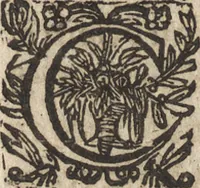 An illustration from Le commentaire royal, ou, L'histoire des Yncas, roys du Peru : contenant leur origine, depuis le premier Ynca Manco Capac, leur establissement, leur idolatrie, leurs sacrifices, leurs vies, leurs loix, leur gouuernement en paix & en guerre ... : ensemble vne descriptton particuliere des animaux, des fruicts, des mineraux, des plantes, & des singularitez du païs : oeuure curieuse, & tout à faict necessaire à l'intelligence de l'Histoire des Indes (1633)