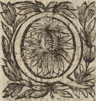 An illustration from Le commentaire royal, ou, L'histoire des Yncas, roys du Peru : contenant leur origine, depuis le premier Ynca Manco Capac, leur establissement, leur idolatrie, leurs sacrifices, leurs vies, leurs loix, leur gouuernement en paix & en guerre ... : ensemble vne descriptton particuliere des animaux, des fruicts, des mineraux, des plantes, & des singularitez du païs : oeuure curieuse, & tout à faict necessaire à l'intelligence de l'Histoire des Indes (1633)