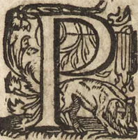 An illustration from Le commentaire royal, ou, L'histoire des Yncas, roys du Peru : contenant leur origine, depuis le premier Ynca Manco Capac, leur establissement, leur idolatrie, leurs sacrifices, leurs vies, leurs loix, leur gouuernement en paix & en guerre ... : ensemble vne descriptton particuliere des animaux, des fruicts, des mineraux, des plantes, & des singularitez du païs : oeuure curieuse, & tout à faict necessaire à l'intelligence de l'Histoire des Indes (1633)