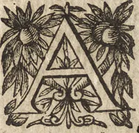 Picture 79 of 90 from Le commentaire royal, ou, L'histoire des Yncas, roys du Peru : contenant leur origine, depuis le premier Ynca Manco Capac, leur establissement, leur idolatrie, leurs sacrifices, leurs vies, leurs loix, leur gouuernement en paix & en guerre ... : ensemble vne descriptton particuliere des animaux, des fruicts, des mineraux, des plantes, & des singularitez du païs : oeuure curieuse, & tout à faict necessaire à l'intelligence de l'Histoire des Indes (1633), leaf 610