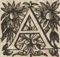 An illustration from Le commentaire royal, ou, L'histoire des Yncas, roys du Peru : contenant leur origine, depuis le premier Ynca Manco Capac, leur establissement, leur idolatrie, leurs sacrifices, leurs vies, leurs loix, leur gouuernement en paix & en guerre ... : ensemble vne descriptton particuliere des animaux, des fruicts, des mineraux, des plantes, & des singularitez du païs : oeuure curieuse, & tout à faict necessaire à l'intelligence de l'Histoire des Indes (1633)