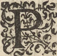 An illustration from Le commentaire royal, ou, L'histoire des Yncas, roys du Peru : contenant leur origine, depuis le premier Ynca Manco Capac, leur establissement, leur idolatrie, leurs sacrifices, leurs vies, leurs loix, leur gouuernement en paix & en guerre ... : ensemble vne descriptton particuliere des animaux, des fruicts, des mineraux, des plantes, & des singularitez du païs : oeuure curieuse, & tout à faict necessaire à l'intelligence de l'Histoire des Indes (1633)