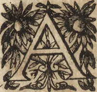 An illustration from Le commentaire royal, ou, L'histoire des Yncas, roys du Peru : contenant leur origine, depuis le premier Ynca Manco Capac, leur establissement, leur idolatrie, leurs sacrifices, leurs vies, leurs loix, leur gouuernement en paix & en guerre ... : ensemble vne descriptton particuliere des animaux, des fruicts, des mineraux, des plantes, & des singularitez du païs : oeuure curieuse, & tout à faict necessaire à l'intelligence de l'Histoire des Indes (1633)