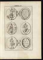 Picture 10 of 30 from Ioannis Macarii canonici ariensis Abraxas, seu, Apistopistus : quae est antiquaria de gemmis basilidianis disquisitio : accedit Abraxas proteus, seu multiformis gemmae basilidianae portentosa varietas (1657), leaf 74