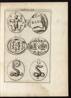 An illustration from Ioannis Macarii canonici ariensis Abraxas, seu, Apistopistus : quae est antiquaria de gemmis basilidianis disquisitio : accedit Abraxas proteus, seu multiformis gemmae basilidianae portentosa varietas (1657)