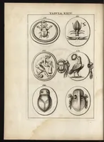 Picture 18 of 30 from Ioannis Macarii canonici ariensis Abraxas, seu, Apistopistus : quae est antiquaria de gemmis basilidianis disquisitio : accedit Abraxas proteus, seu multiformis gemmae basilidianae portentosa varietas (1657), leaf 89