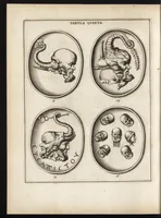 An illustration from Ioannis Chifletii, canonici Tornacensis, Socrates, siue, De gemmis eius imagine coelatis iudicium (1662)