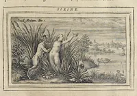 Picture 2 of 28 from Les Metamorphoses d'Ouide : de nouueau traduites en françois, et enrichies de figures chacune selon son subiet : avec XV discours, contenans l'explication morale des fables (1621), leaf 50