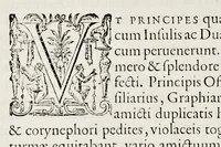 Picture 29 of 31 from Historica narratio profectionis et inavgvrationis serenissimorvm Belgii principvm Alberti et Isabellæ, Avstriæ archidvcvm : et eorum optatissimi in Belgium aduentus, rerumque gestarum et memorabilium, gratulationum, apparatuum, et spectaculorum in ipsorum susceptione et inavgvratione hactenus editorum accurata descriptio (1602), leaf 381