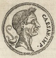Picture 15 of 25 from Ritratto di Roma antica : formato nuouamente : con le auttorità, di Bartolomeo Marliani, del P. Alessandro Donati, di Famiano Nardini, e d'altri celebri antiquarij, accennati nell' epistola al lettore : nel quale, si descriuono gli archi, aquedotti, basiliche ... & altri edificij Romani : adornato di moltissime figure in rame, di varie medaglie, e di curiose notitie istoriche (1689), leaf 333