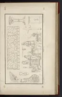 An illustration from Fragmens d'architecture, sculpture et peinture, dans le style antique : ouvrage dans lequel on trouvera toutes sortes de détails relatifs à la décoration intérieure et extérieure des édifices : composés ou recueillis, et gravés au trait (1804)