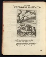 Picture 5 of 67 from Viridarium hieroglyphico-morale : in quo virtutes et vitia atqve mores huius aevi secundum tres ordines hierarchicos -- ecclesiasticum, politicum, oeconomicum ... explicantur : & non tantum dictis & exemplis historiarum veterum ac recentium, ex sacris scripturis, sanctis patribus, seu dd. Ecclesiae, poetis, philosophis, historicis cum christianorum tum gentilium, sed etiam artificiosissimis eiconibus hieroglyphicis illustrantur ... (1619), leaf 25