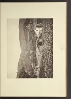 An illustration from Illustrations of China and its people : a series of two hundred photographs, with letterpress descriptive of the places and people represented. (1873)