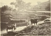 An illustration from Illustrations of China and its people : a series of two hundred photographs, with letterpress descriptive of the places and people represented. (1873)