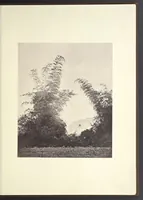 An illustration from Illustrations of China and its people : a series of two hundred photographs, with letterpress descriptive of the places and people represented. (1873)