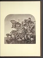 An illustration from Illustrations of China and its people : a series of two hundred photographs, with letterpress descriptive of the places and people represented. (1873)