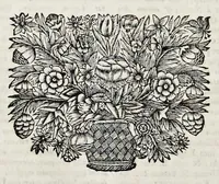 An illustration from Ex tomo septimo Danielis Papebrochii S.I. De actis sanctorum Maii die trigesima (1688)