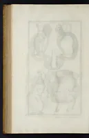 Picture 14 of 22 from L'antiquité expliquée et représentée en figures ... (1719), leaf 323