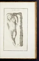 Picture 20 of 23 from Supplément au livre de l'antiquitée expliquée et représentée en figures (1757), leaf 498