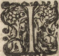 An illustration from Le commentaire royal, ou, L'histoire des Yncas, roys du Peru : contenant leur origine, depuis le premier Ynca Manco Capac, leur establissement, leur idolatrie, leurs sacrifices, leurs vies, leurs loix, leur gouuernement en paix & en guerre ... : ensemble vne descriptton particuliere des animaux, des fruicts, des mineraux, des plantes, & des singularitez du païs : oeuure curieuse, & tout à faict necessaire à l'intelligence de l'Histoire des Indes (1633)