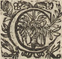 Picture 26 of 106 from Le commentaire royal, ou, L'histoire des Yncas, roys du Peru : contenant leur origine, depuis le premier Ynca Manco Capac, leur establissement, leur idolatrie, leurs sacrifices, leurs vies, leurs loix, leur gouuernement en paix & en guerre ... : ensemble vne descriptton particuliere des animaux, des fruicts, des mineraux, des plantes, & des singularitez du païs : oeuure curieuse, & tout à faict necessaire à l'intelligence de l'Histoire des Indes (1633), leaf 133