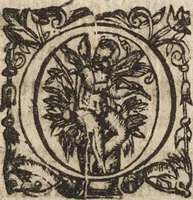 An illustration from Le commentaire royal, ou, L'histoire des Yncas, roys du Peru : contenant leur origine, depuis le premier Ynca Manco Capac, leur establissement, leur idolatrie, leurs sacrifices, leurs vies, leurs loix, leur gouuernement en paix & en guerre ... : ensemble vne descriptton particuliere des animaux, des fruicts, des mineraux, des plantes, & des singularitez du païs : oeuure curieuse, & tout à faict necessaire à l'intelligence de l'Histoire des Indes (1633)