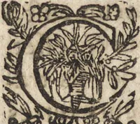 An illustration from Le commentaire royal, ou, L'histoire des Yncas, roys du Peru : contenant leur origine, depuis le premier Ynca Manco Capac, leur establissement, leur idolatrie, leurs sacrifices, leurs vies, leurs loix, leur gouuernement en paix & en guerre ... : ensemble vne descriptton particuliere des animaux, des fruicts, des mineraux, des plantes, & des singularitez du païs : oeuure curieuse, & tout à faict necessaire à l'intelligence de l'Histoire des Indes (1633)