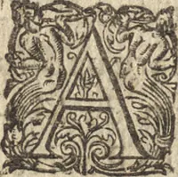 An illustration from Le commentaire royal, ou, L'histoire des Yncas, roys du Peru : contenant leur origine, depuis le premier Ynca Manco Capac, leur establissement, leur idolatrie, leurs sacrifices, leurs vies, leurs loix, leur gouuernement en paix & en guerre ... : ensemble vne descriptton particuliere des animaux, des fruicts, des mineraux, des plantes, & des singularitez du païs : oeuure curieuse, & tout à faict necessaire à l'intelligence de l'Histoire des Indes (1633)