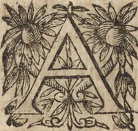 An illustration from Le commentaire royal, ou, L'histoire des Yncas, roys du Peru : contenant leur origine, depuis le premier Ynca Manco Capac, leur establissement, leur idolatrie, leurs sacrifices, leurs vies, leurs loix, leur gouuernement en paix & en guerre ... : ensemble vne descriptton particuliere des animaux, des fruicts, des mineraux, des plantes, & des singularitez du païs : oeuure curieuse, & tout à faict necessaire à l'intelligence de l'Histoire des Indes (1633)