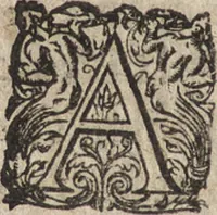 An illustration from Le commentaire royal, ou, L'histoire des Yncas, roys du Peru : contenant leur origine, depuis le premier Ynca Manco Capac, leur establissement, leur idolatrie, leurs sacrifices, leurs vies, leurs loix, leur gouuernement en paix & en guerre ... : ensemble vne descriptton particuliere des animaux, des fruicts, des mineraux, des plantes, & des singularitez du païs : oeuure curieuse, & tout à faict necessaire à l'intelligence de l'Histoire des Indes (1633)