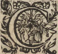 An illustration from Le commentaire royal, ou, L'histoire des Yncas, roys du Peru : contenant leur origine, depuis le premier Ynca Manco Capac, leur establissement, leur idolatrie, leurs sacrifices, leurs vies, leurs loix, leur gouuernement en paix & en guerre ... : ensemble vne descriptton particuliere des animaux, des fruicts, des mineraux, des plantes, & des singularitez du païs : oeuure curieuse, & tout à faict necessaire à l'intelligence de l'Histoire des Indes (1633)