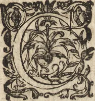 An illustration from Le commentaire royal, ou, L'histoire des Yncas, roys du Peru : contenant leur origine, depuis le premier Ynca Manco Capac, leur establissement, leur idolatrie, leurs sacrifices, leurs vies, leurs loix, leur gouuernement en paix & en guerre ... : ensemble vne descriptton particuliere des animaux, des fruicts, des mineraux, des plantes, & des singularitez du païs : oeuure curieuse, & tout à faict necessaire à l'intelligence de l'Histoire des Indes (1633)