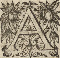 An illustration from Le commentaire royal, ou, L'histoire des Yncas, roys du Peru : contenant leur origine, depuis le premier Ynca Manco Capac, leur establissement, leur idolatrie, leurs sacrifices, leurs vies, leurs loix, leur gouuernement en paix & en guerre ... : ensemble vne descriptton particuliere des animaux, des fruicts, des mineraux, des plantes, & des singularitez du païs : oeuure curieuse, & tout à faict necessaire à l'intelligence de l'Histoire des Indes (1633)