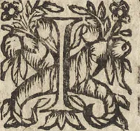 An illustration from Le commentaire royal, ou, L'histoire des Yncas, roys du Peru : contenant leur origine, depuis le premier Ynca Manco Capac, leur establissement, leur idolatrie, leurs sacrifices, leurs vies, leurs loix, leur gouuernement en paix & en guerre ... : ensemble vne descriptton particuliere des animaux, des fruicts, des mineraux, des plantes, & des singularitez du païs : oeuure curieuse, & tout à faict necessaire à l'intelligence de l'Histoire des Indes (1633)