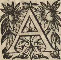 An illustration from Le commentaire royal, ou, L'histoire des Yncas, roys du Peru : contenant leur origine, depuis le premier Ynca Manco Capac, leur establissement, leur idolatrie, leurs sacrifices, leurs vies, leurs loix, leur gouuernement en paix & en guerre ... : ensemble vne descriptton particuliere des animaux, des fruicts, des mineraux, des plantes, & des singularitez du païs : oeuure curieuse, & tout à faict necessaire à l'intelligence de l'Histoire des Indes (1633)